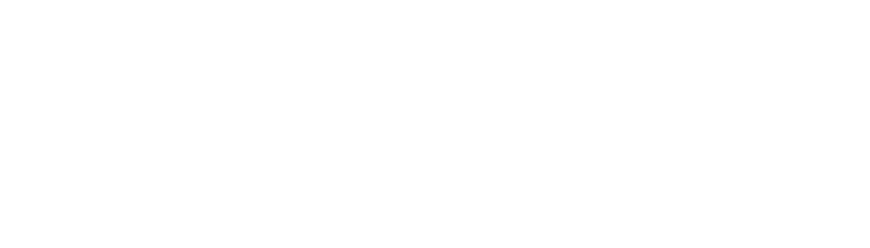 2Sport Logo